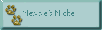 Newbie's Niche