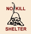 A No-Kill Shelter