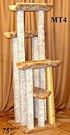 MT4