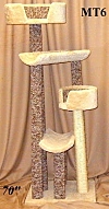 MT6