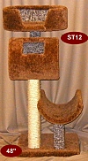 ST12
