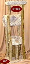 ST16B