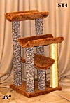 ST4