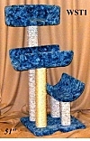WST1